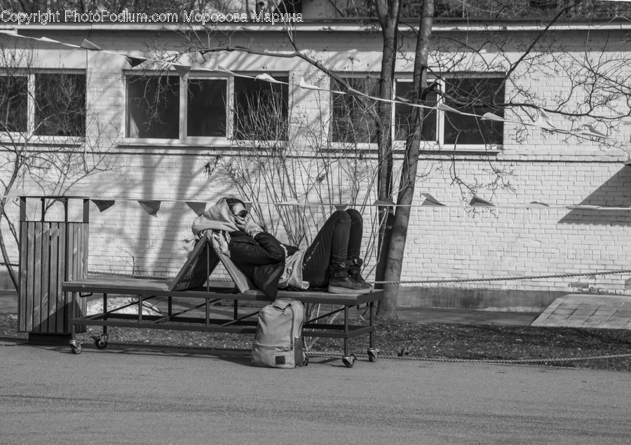 Furniture, Bench, Person, Human, Sitting