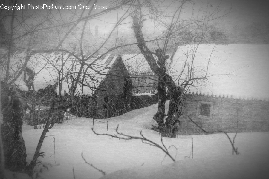 Nature, Outdoors, Snow, Winter, Countryside