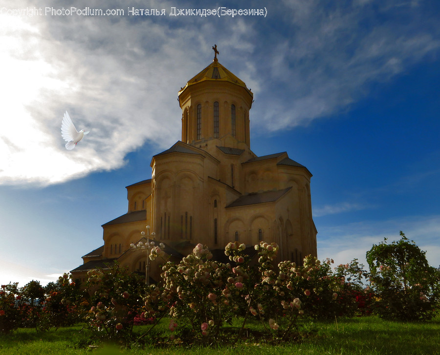 Building, Architecture, Dome, Spire, Steeple