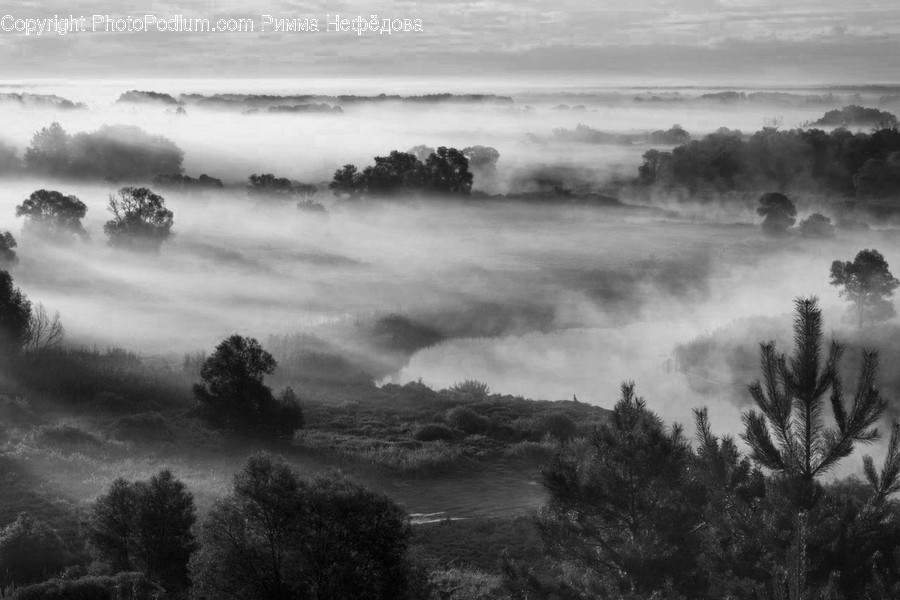 Nature, Weather, Outdoors, Fog, Mist