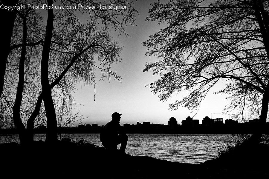 Silhouette, Person, Human, Water, Plant