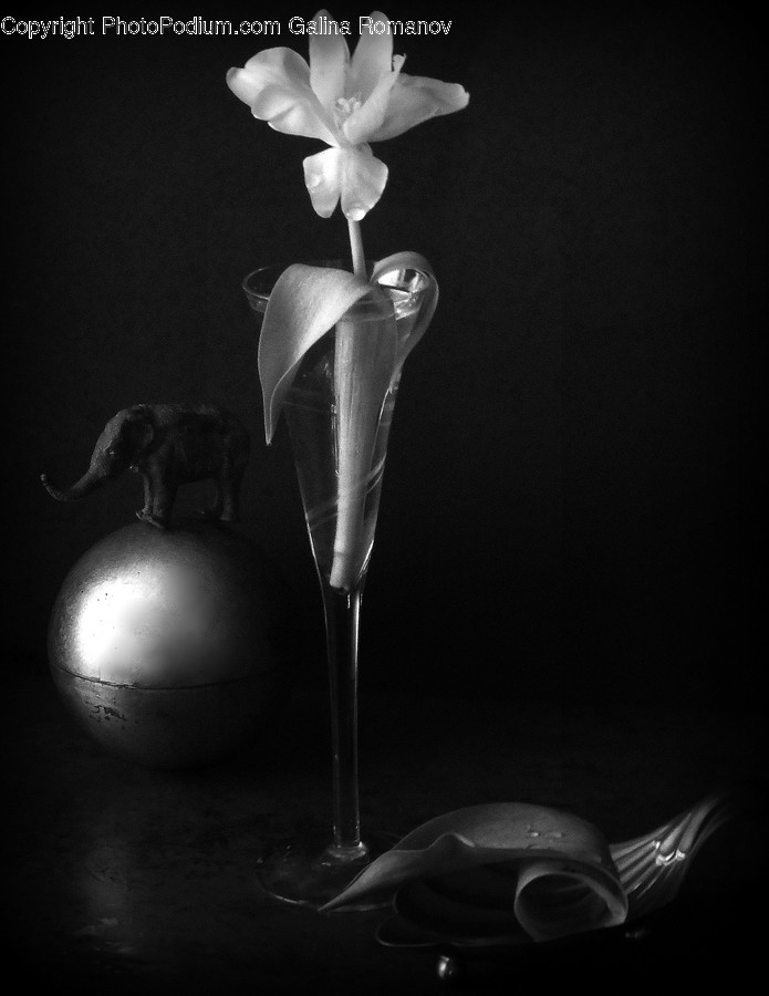 Plant, Sphere, Blossom, Flower, Glass