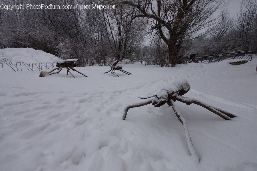 Nature, Outdoors, Snow, Winter, Weather