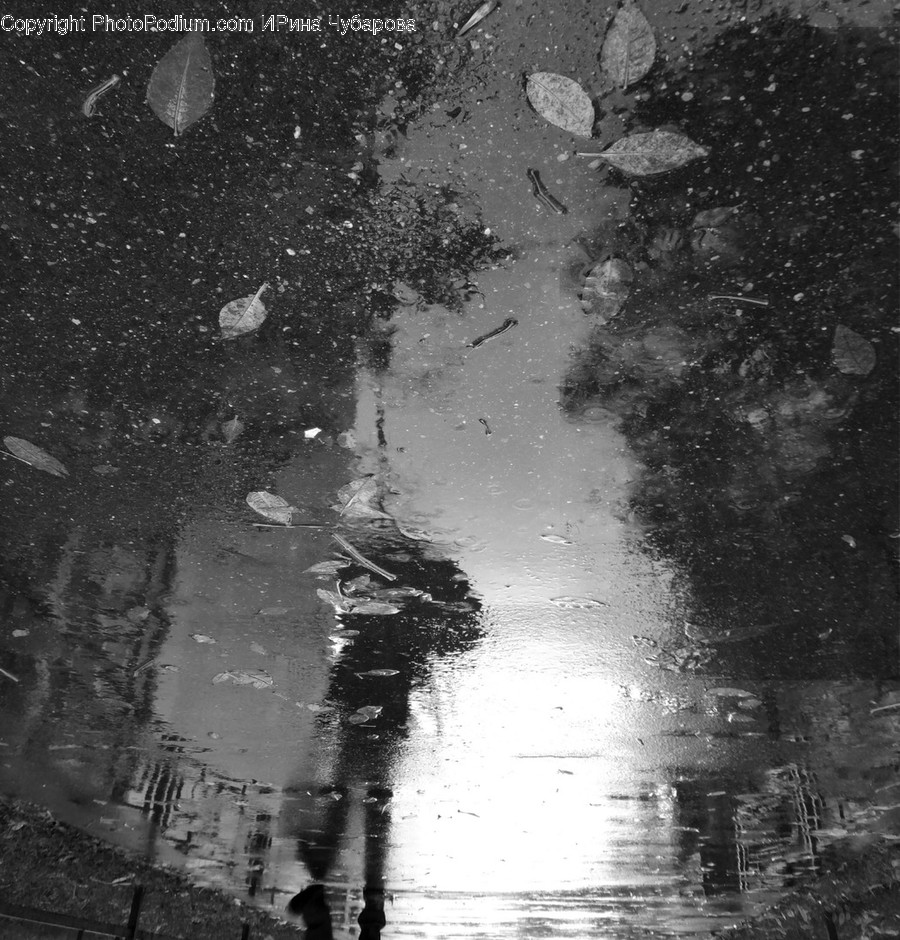 Puddle, Outdoors, Water