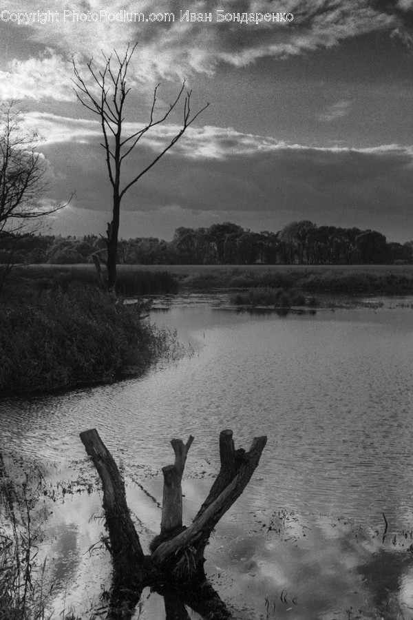 Wood, Water, Outdoors, Nature, Land