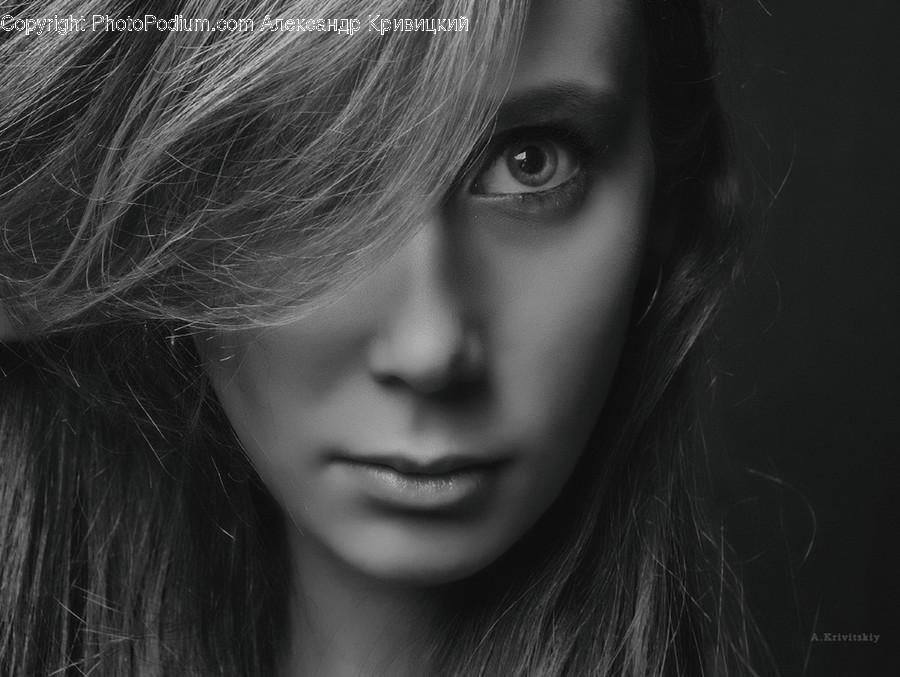 Face, Person, Human, Head, Portrait