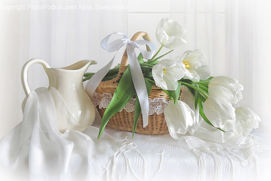 Plant, Blossom, Flower, Flower Bouquet, Flower Arrangement