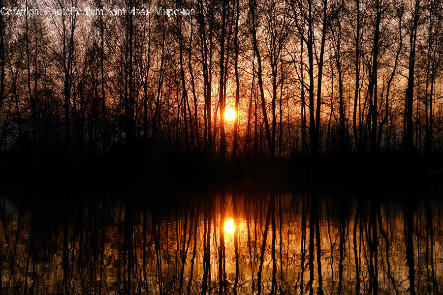 Nature, Outdoors, Sunset, Dusk, Sky