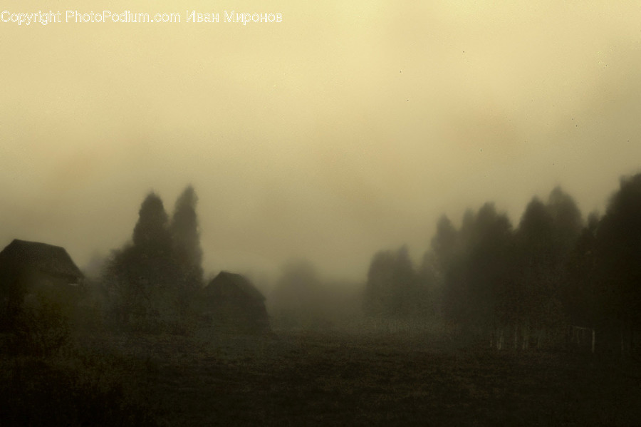 Weather, Nature, Outdoors, Fog, Mist
