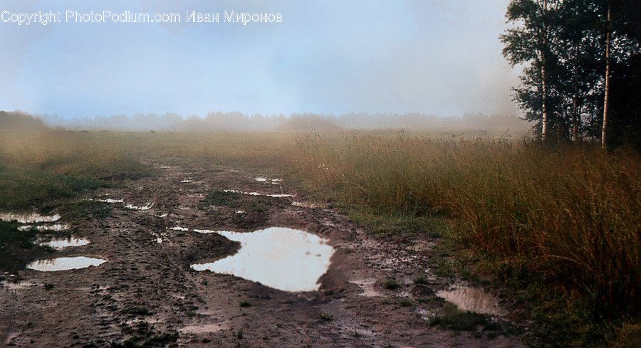 Puddle, Nature, Outdoors, Weather, Soil