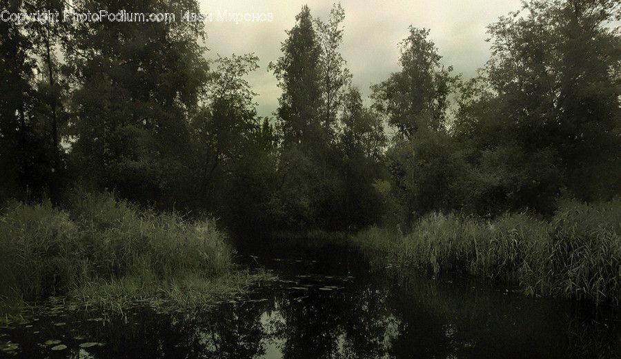 Nature, Outdoors, Weather, Land, Water
