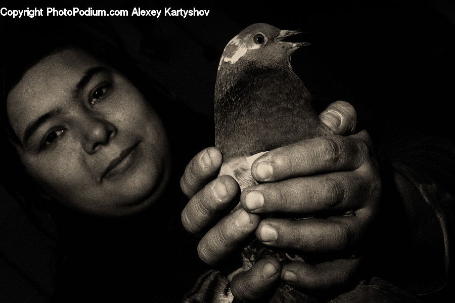 People, Person, Human, Bird, Pigeon, Finger, Hand