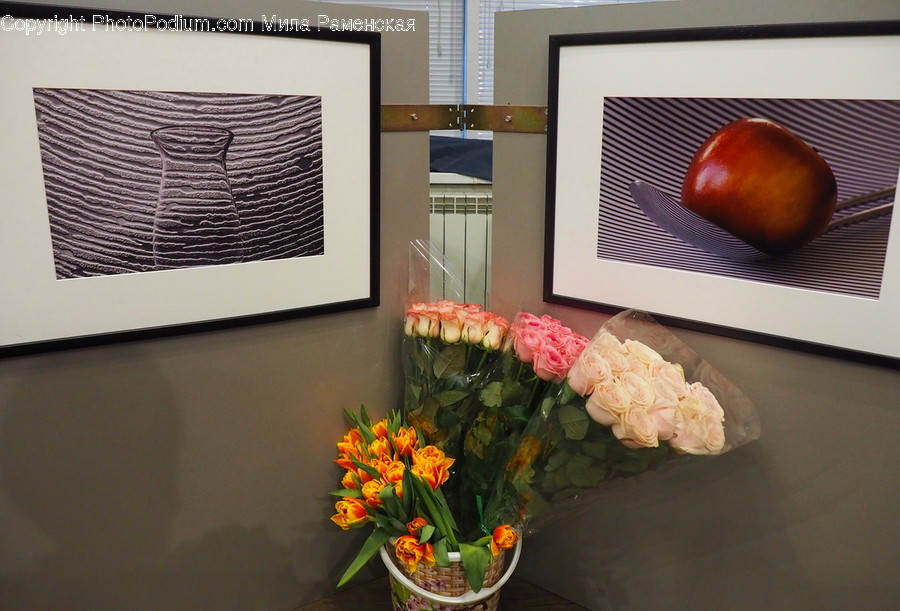 Plant, Flower, Blossom, Flower Arrangement, Flower Bouquet