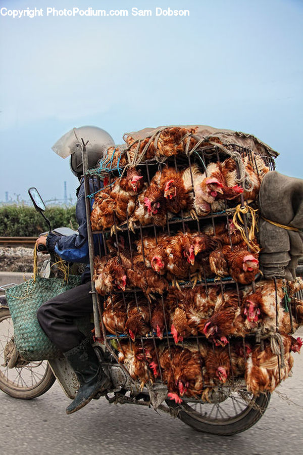 Bbq, Food, People, Person, Human, Bazaar, Market