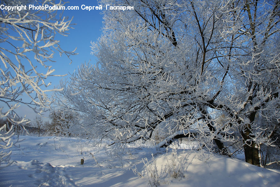 Frost, Ice, Outdoors, Snow, Landscape, Nature, Scenery