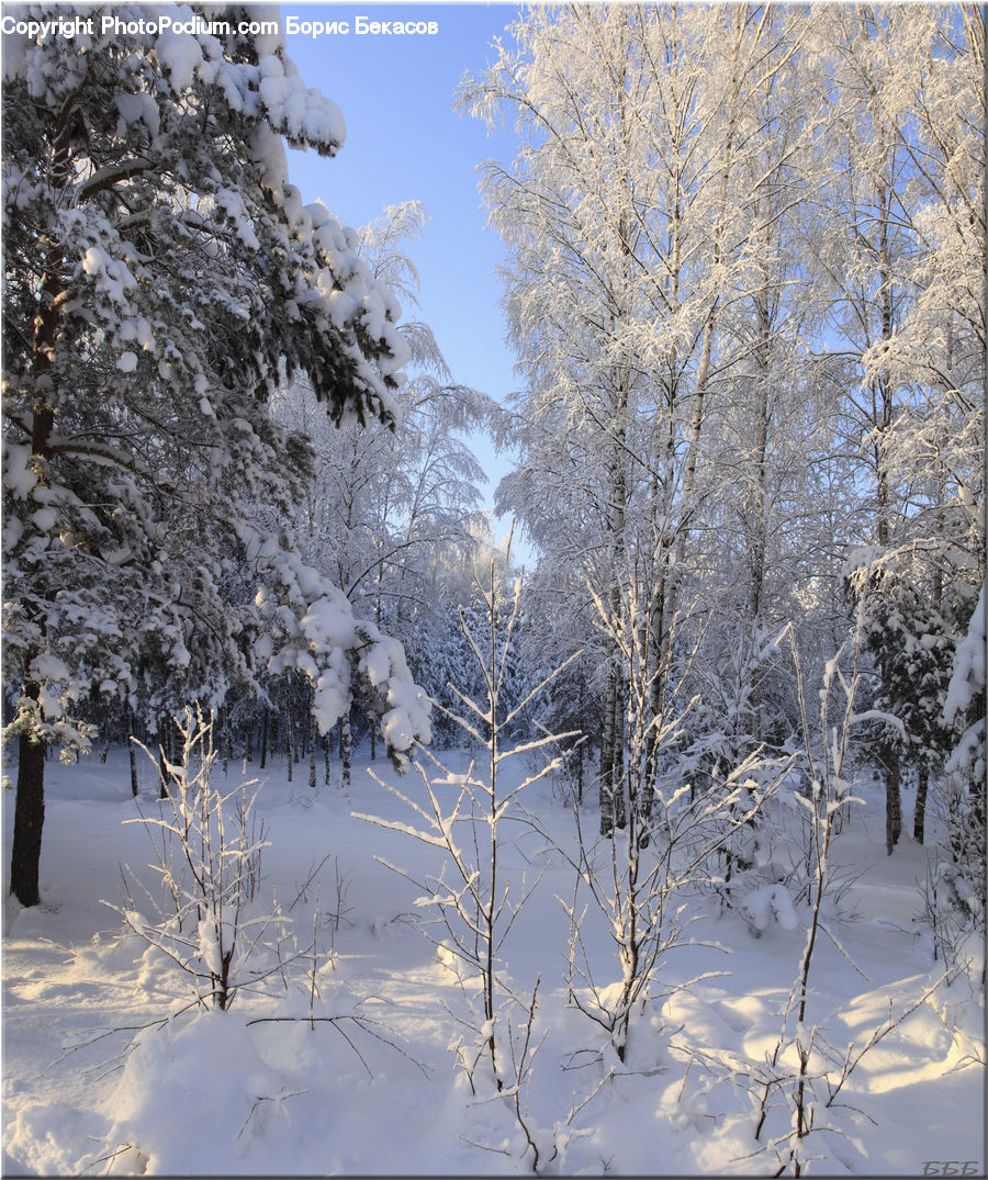 Frost, Ice, Outdoors, Snow, Landscape, Nature, Scenery