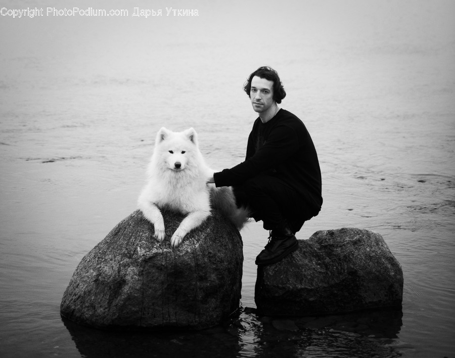 Person, Human, Animal, Mammal, Canine