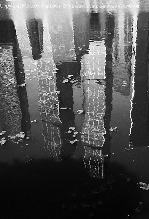 Water, Outdoors, Ripple, Plant, Nature