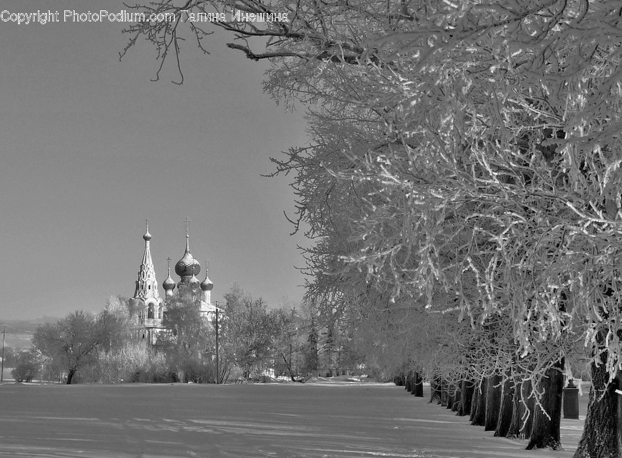 Tower, Spire, Steeple, Architecture, Building