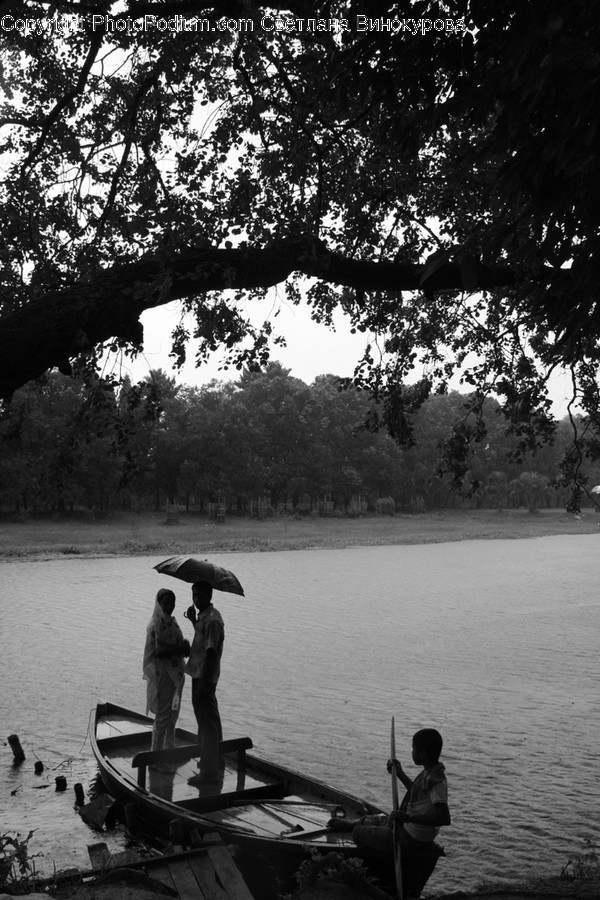 Person, Human, Plant, Tree, Transportation