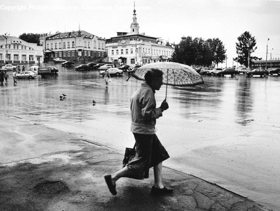 Umbrella, People, Person, Human, Tourist, Building, Housing