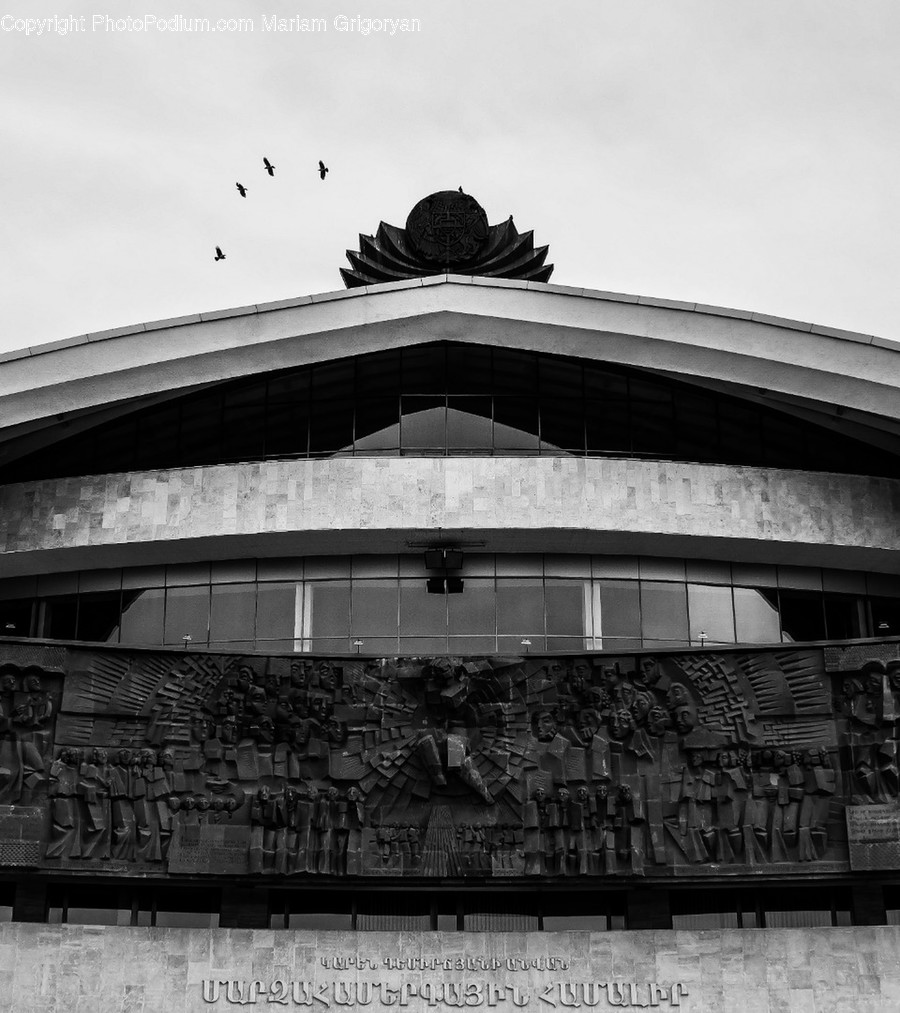 Bird, Animal, Building, Architecture, Dome