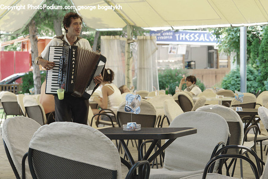 Accordion, Musical Instrument, People, Person, Human, Chair, Furniture