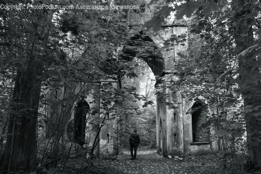 Building, Architecture, Person, Human, Ruins