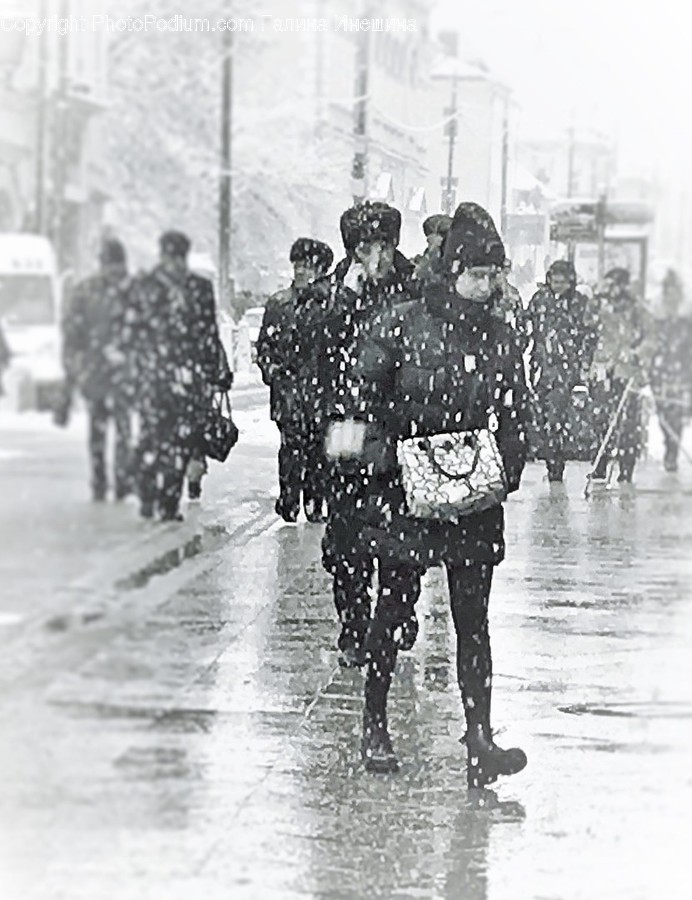 Storm, Blizzard, Snow, Nature, Winter