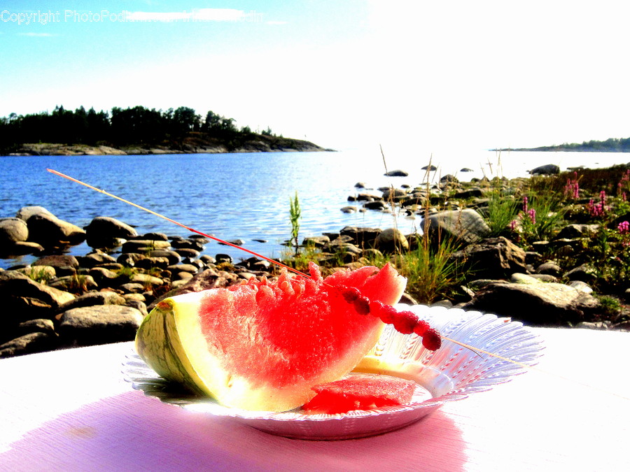 Plant, Water, Food, Fruit, Outdoors
