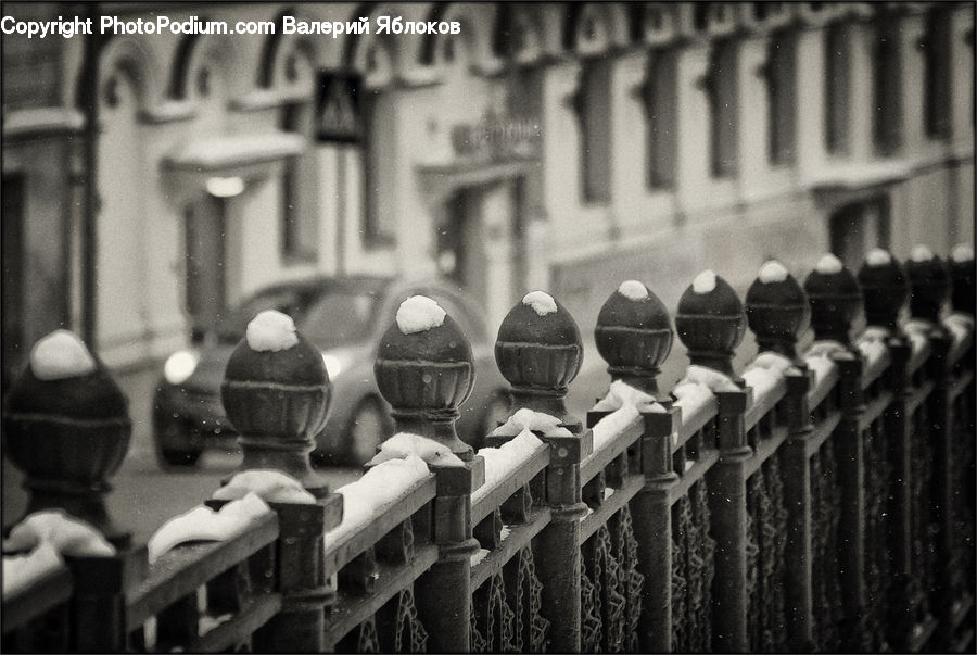 Fence, City, Downtown, Urban, Head, Portrait, Beverage