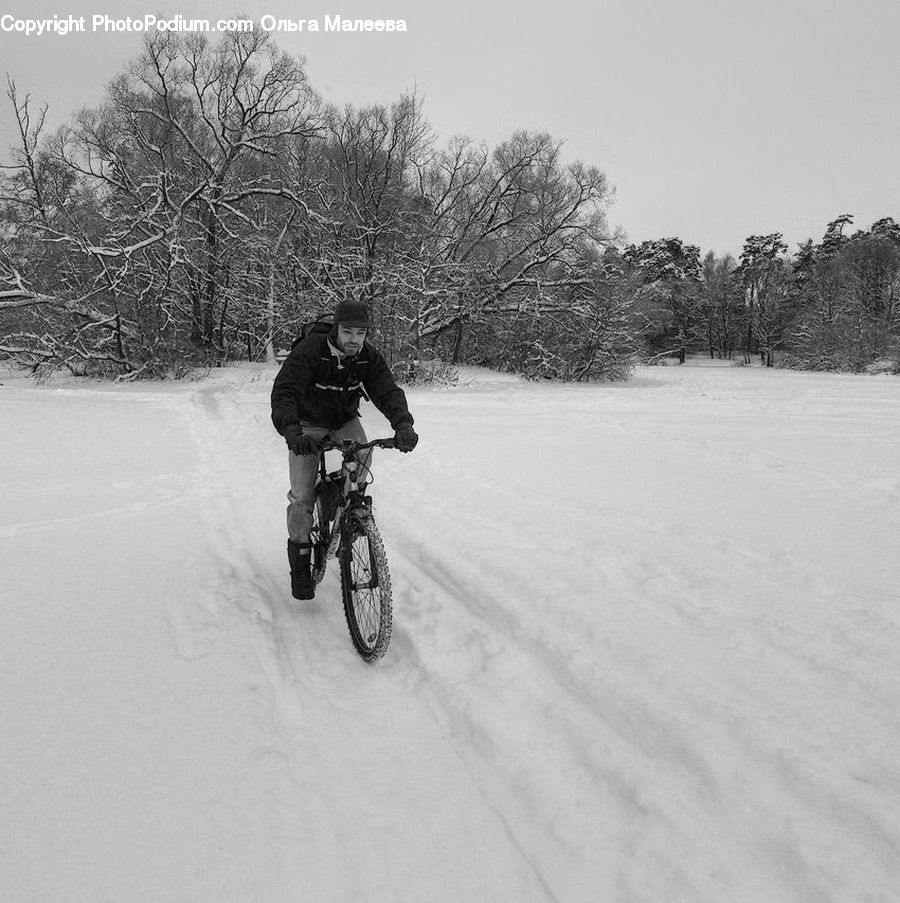 Human, People, Person, Bicycle, Bike, Cyclist, Vehicle