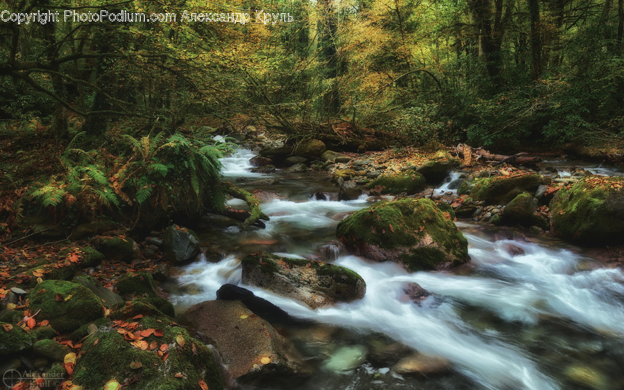 Water, Nature, Outdoors, Stream, Creek