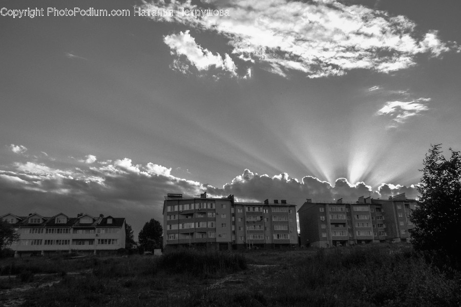 Flare, Light, Sunlight, Weather, Nature