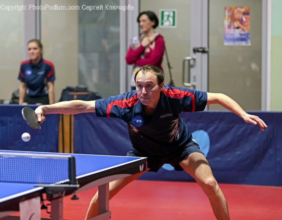 Human, Person, Sport, Sports, Ping Pong