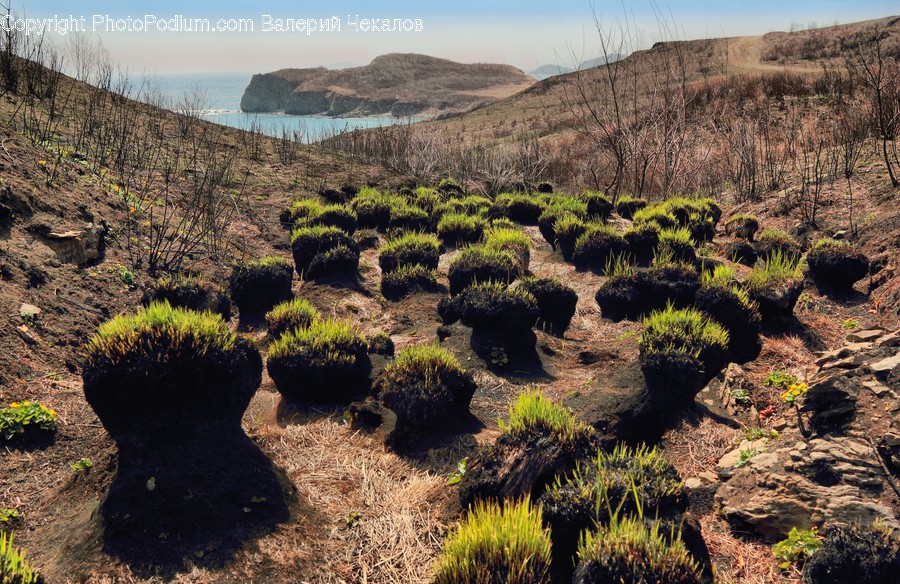 Ground, Nature, Outdoors, Wilderness, Plateau