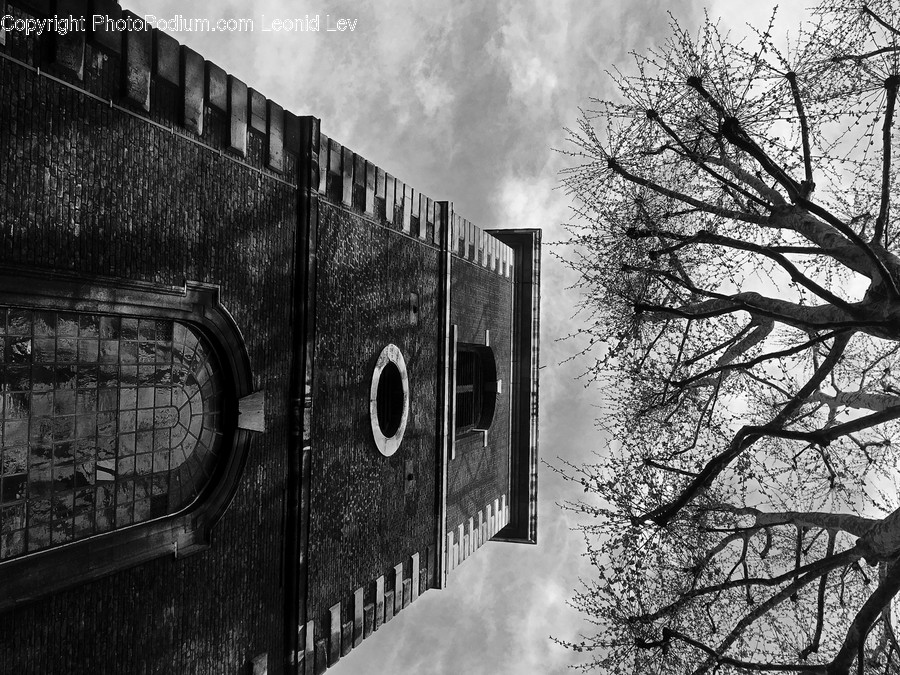 Nature, Outdoors, Building, Weather, Plant