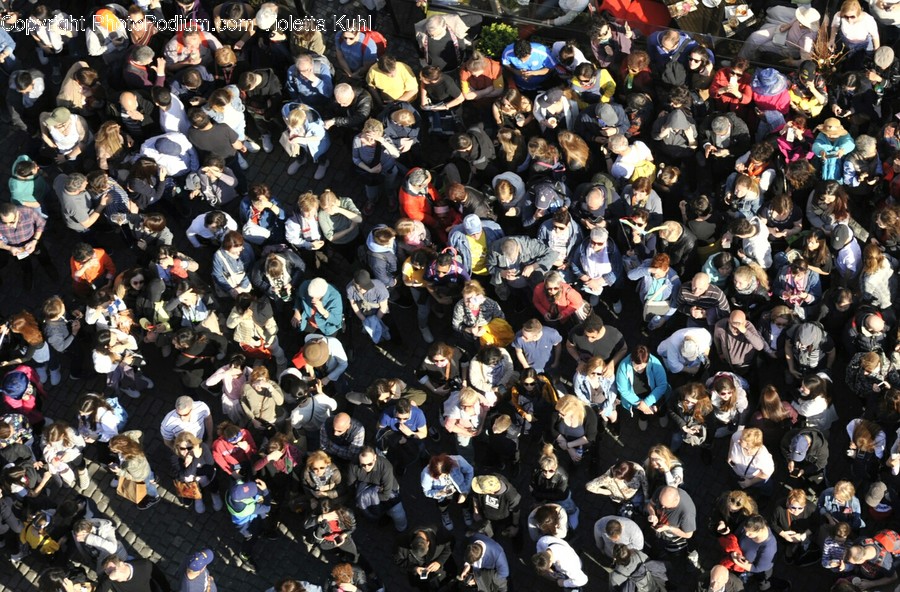 Person, Crowd, Human, Audience, Parade