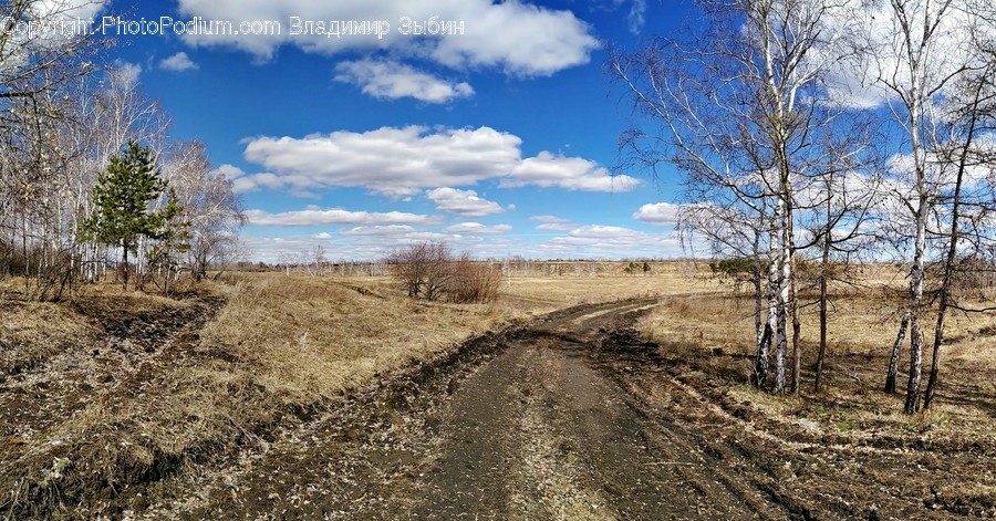 Road, Dirt Road, Gravel, Ground, Outdoors