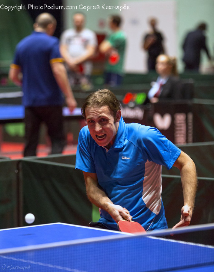 Human, Person, Sports, Sport, Ping Pong
