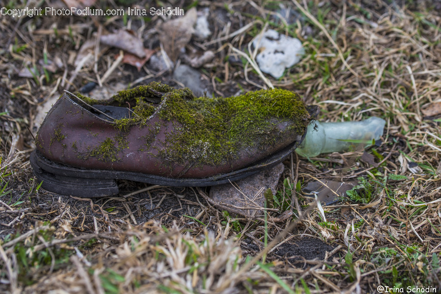 Moss, Plant, Apparel, Clothing, Ground