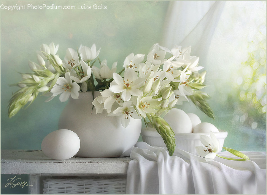 Egg, Food, Plant, Blossom, Flower