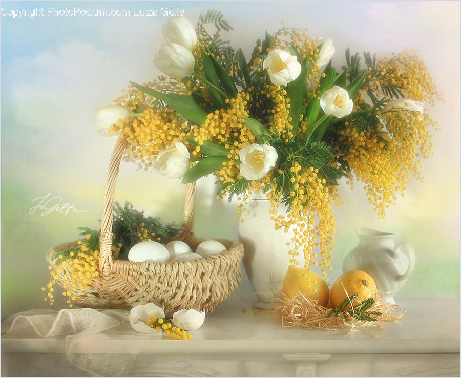 Plant, Blossom, Flower, Flower Arrangement, Floral Design