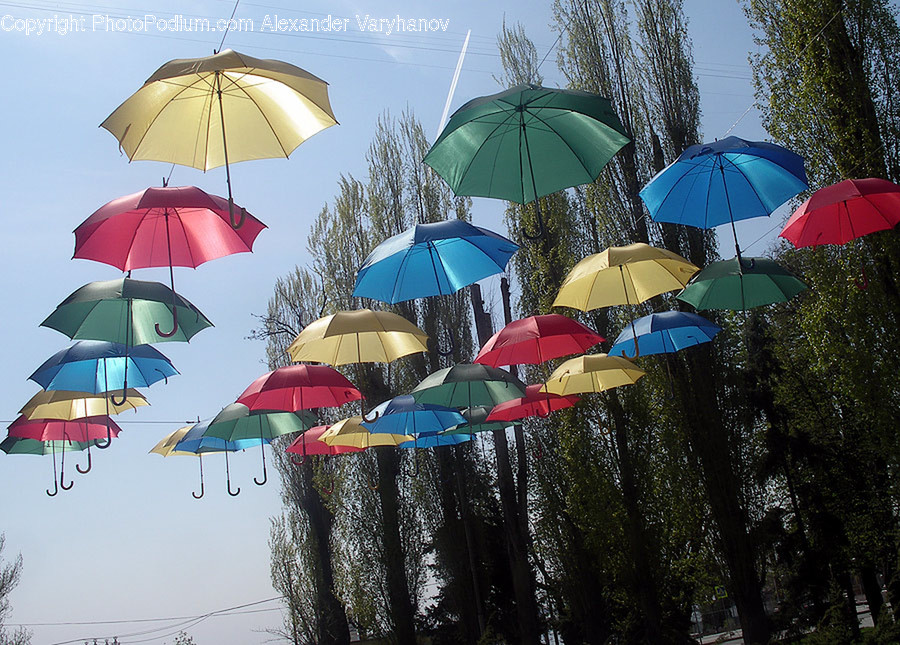 Umbrella, Canopy, Countryside, Rural, Nature