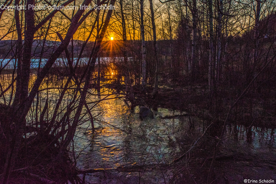 Outdoors, Nature, Land, Water, Sunset
