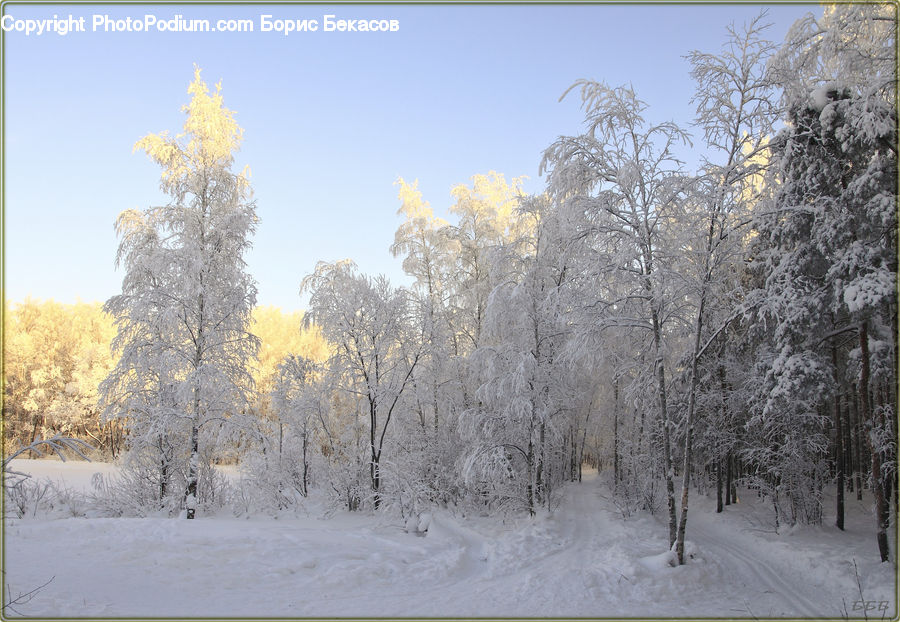 Frost, Ice, Outdoors, Snow, Landscape, Nature, Scenery