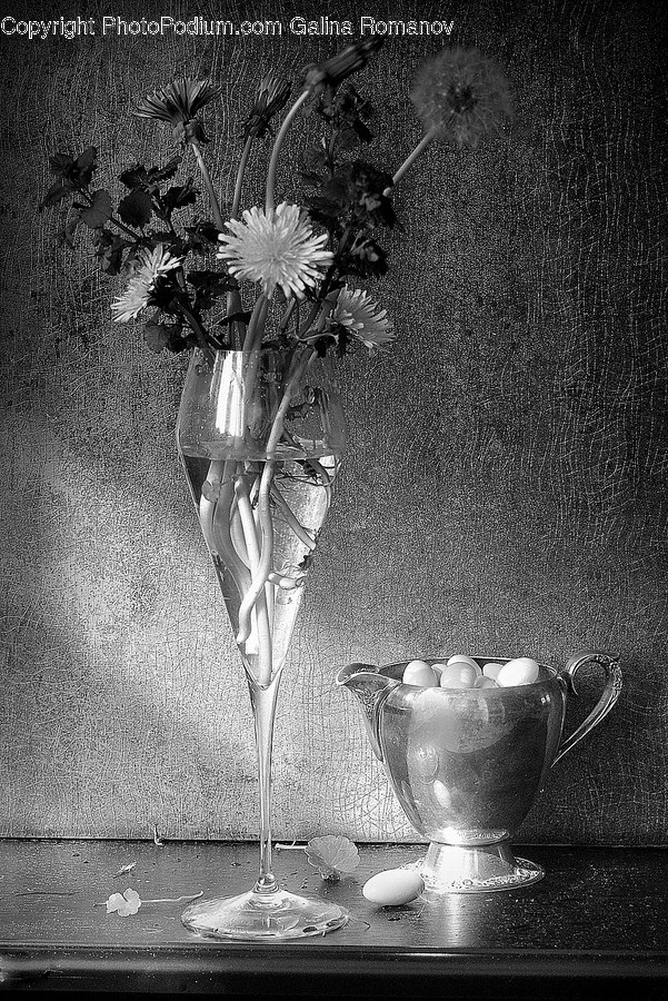 Plant, Blossom, Flower, Pottery, Flower Arrangement