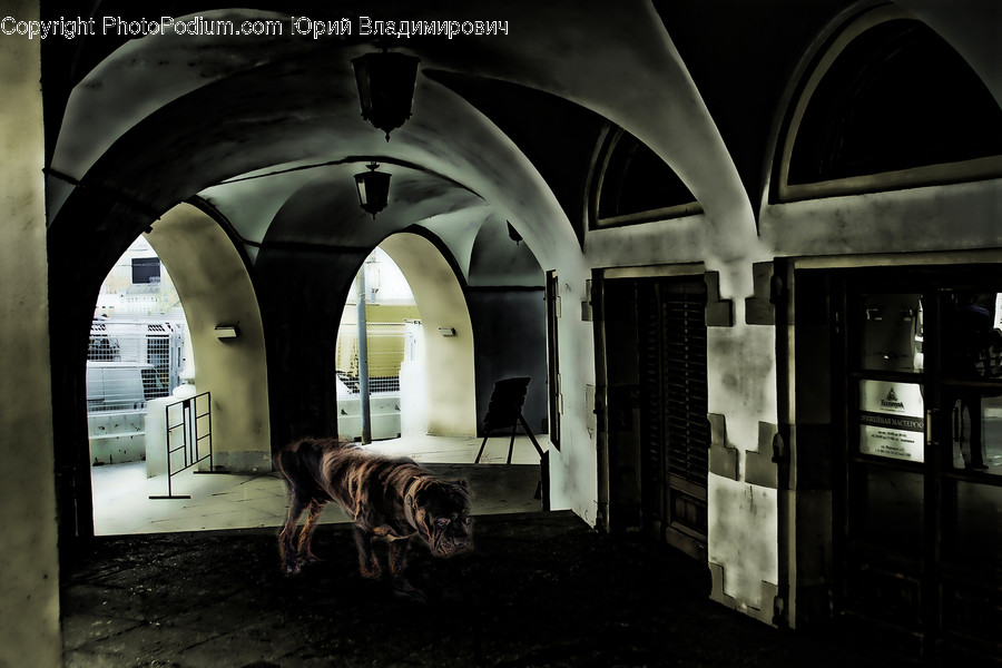 Architecture, Building, Arched, Arch, Crypt