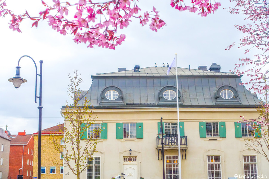 Plant, Blossom, Flower, Building, Window