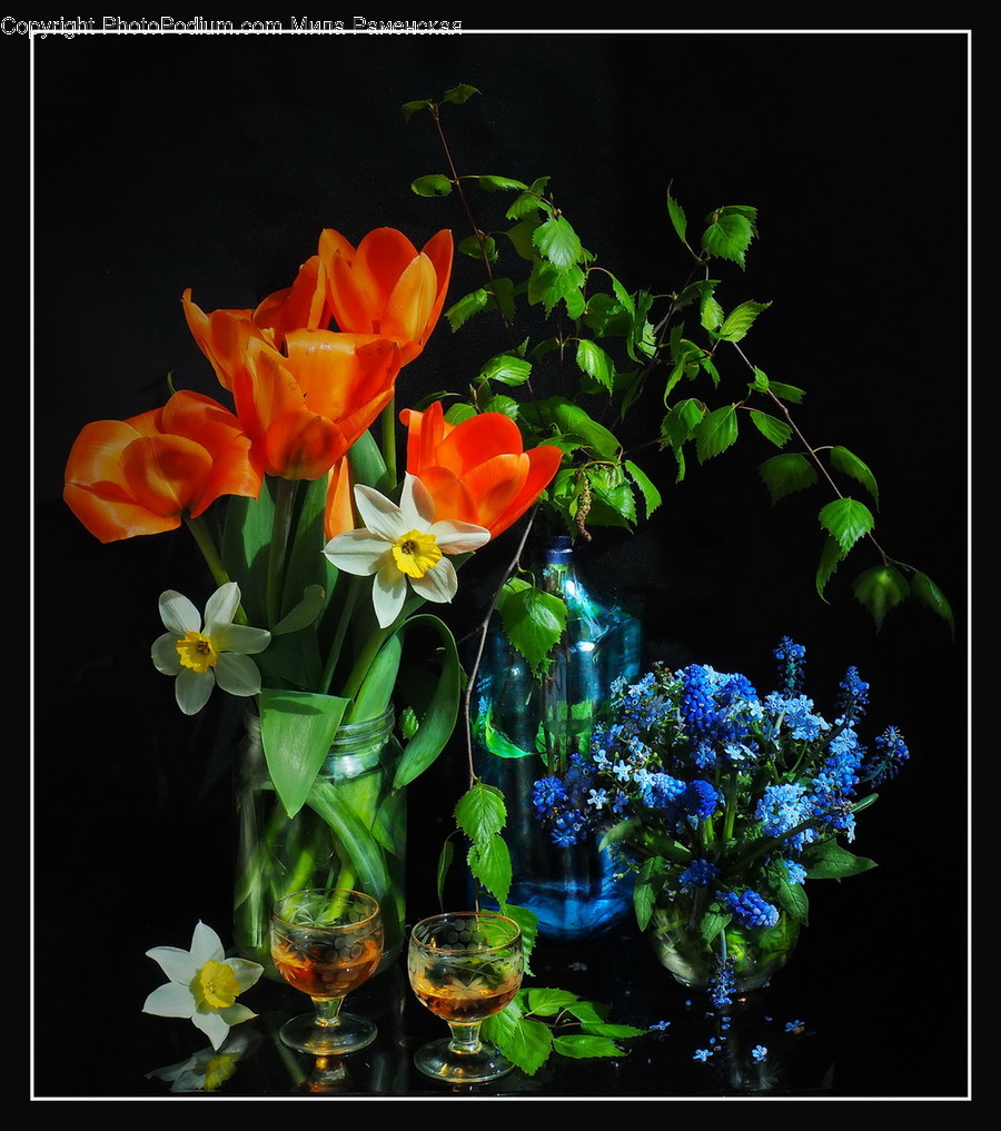 Plant, Flower, Flower Arrangement, Blossom, Flower Bouquet